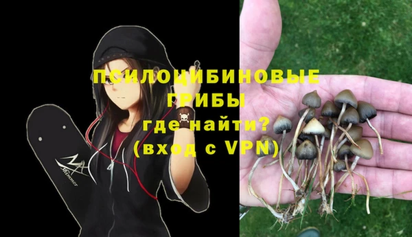 МДПВ Алзамай