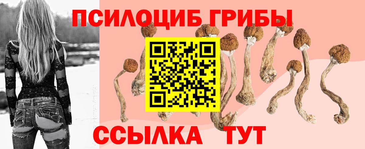 закладки  Галлюциногенные грибы MAGIC MUSHROOMS  Псилоцибиновые грибы ЛСД  Вход с VPN  Новоуральск 